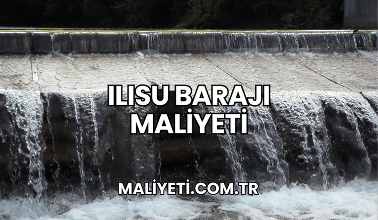 Ilısu Barajı Maliyeti