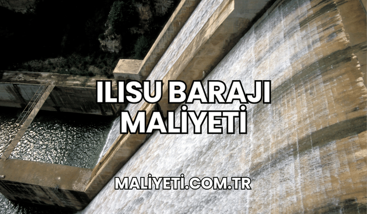 Ilısu Barajı Maliyeti