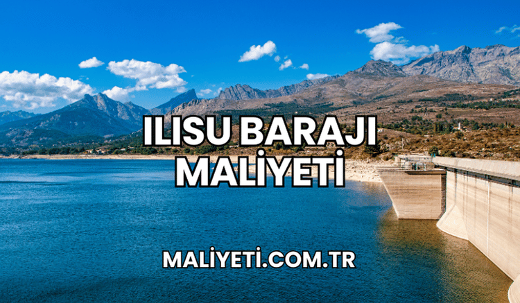 Ilısu Barajı Maliyeti