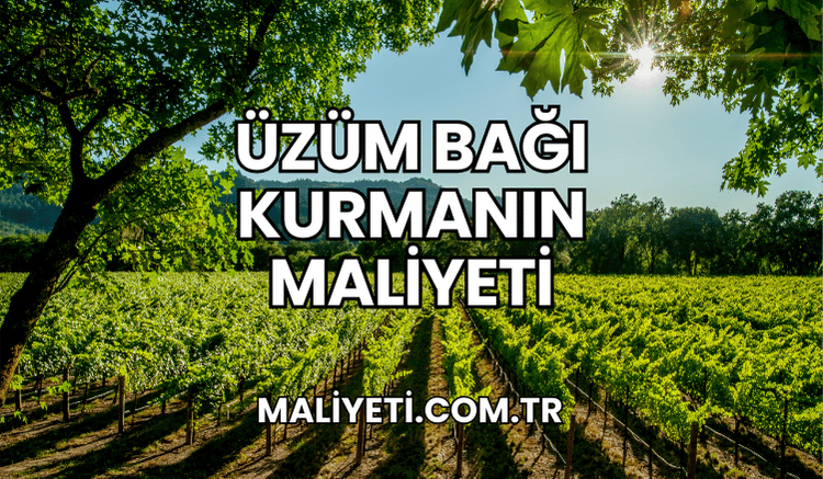 Üzüm Bağı Kurmanın Maliyeti