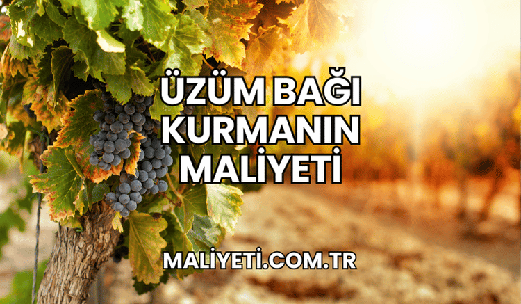 Üzüm Bağı Kurmanın Maliyeti