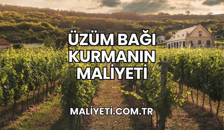 Üzüm Bağı Kurmanın Maliyeti