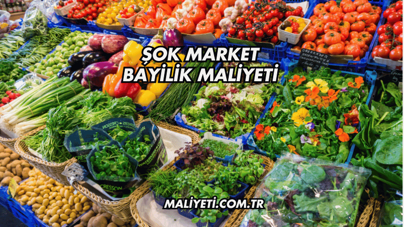 Şok Market Bayilik Maliyeti Ne Kadar?