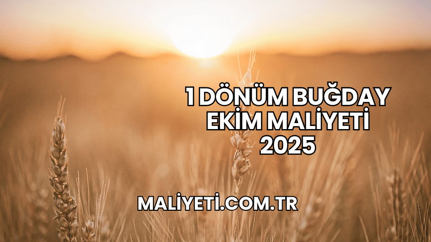 1 Dönüm Buğday Ekim Maliyeti 2025