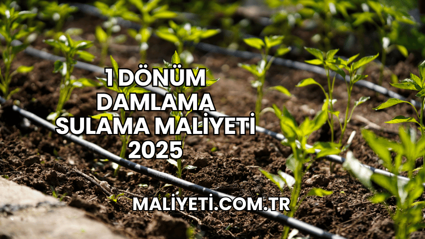 1 Dönüm Damlama Sulama Maliyeti 2025