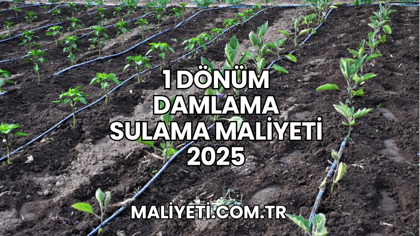 1 Dönüm Damlama Sulama Maliyeti 2025