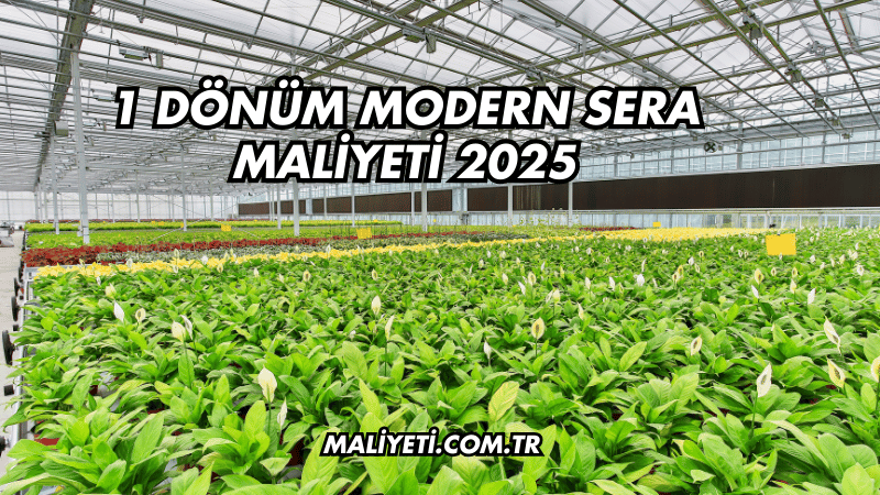 1 Dönüm Modern Sera Maliyeti 2025