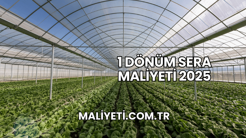 1 Dönüm Sera Maliyeti 2025