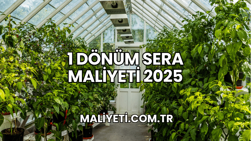 1 Dönüm Sera Maliyeti 2025