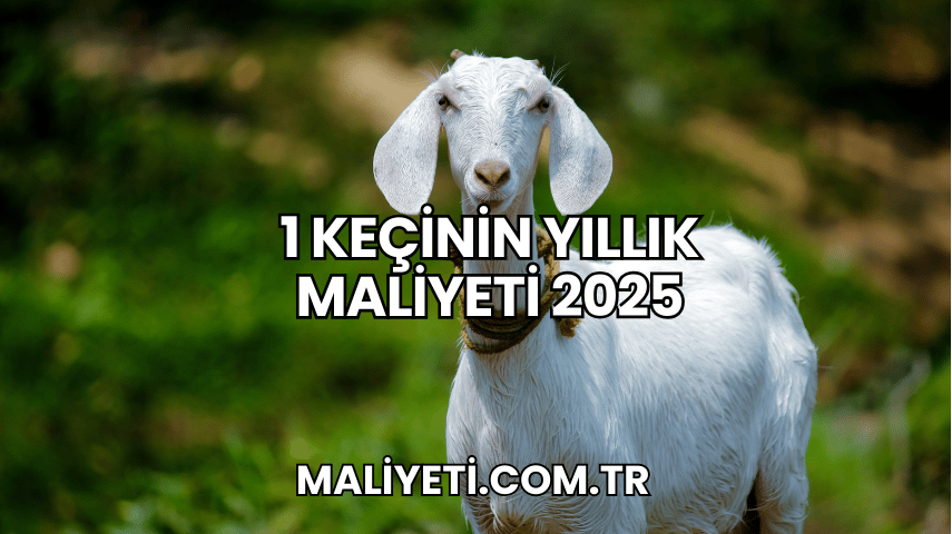 1 Keçinin Yıllık Maliyeti 2025