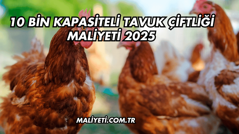 10 Bin Kapasiteli Tavuk Çiftliği Maliyeti 2025