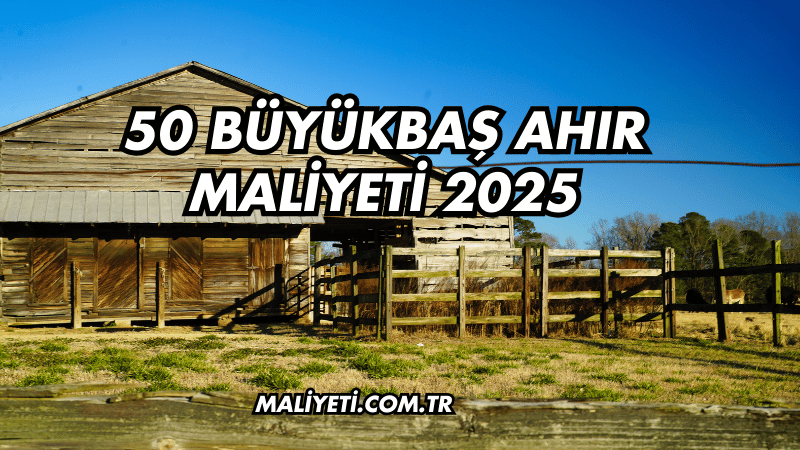 50 Büyükbaş Ahır Maliyeti 2025