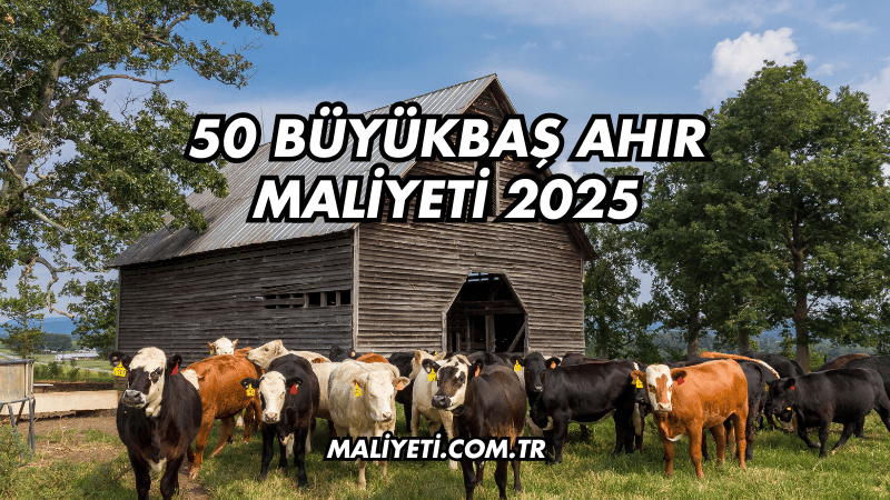 50 Büyükbaş Ahır Maliyeti 2025