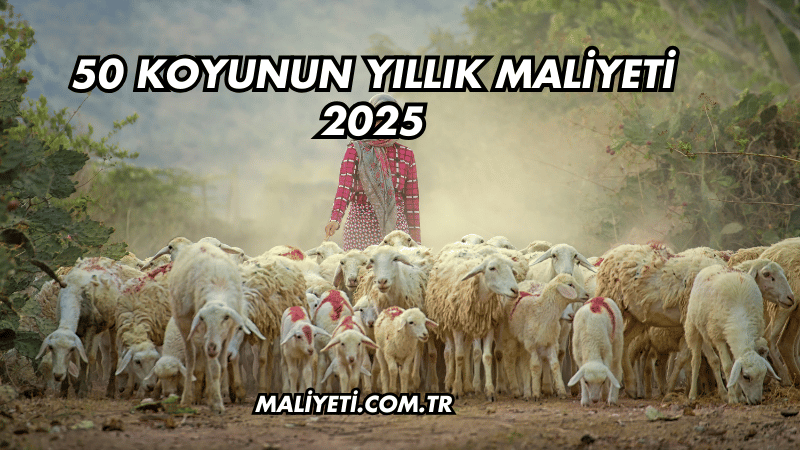 50 Koyunun Yıllık Maliyeti 2025