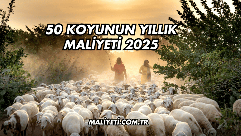 50 Koyunun Yıllık Maliyeti 2025