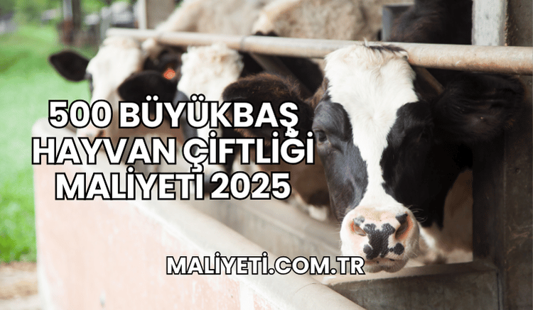 500 Büyükbaş Hayvan Çiftliği Maliyeti 2025