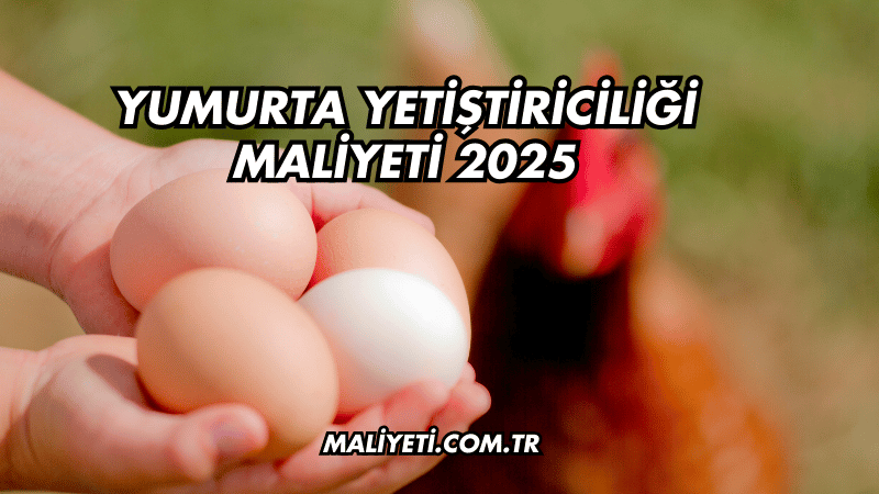 Yumurta Yetiştiriciliği Maliyeti 2025