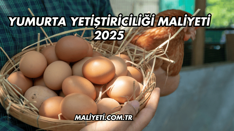 Yumurta Yetiştiriciliği Maliyeti 2025