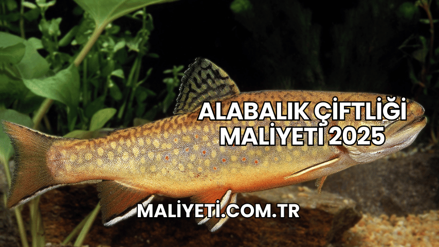 Alabalık Çiftliği Maliyeti 2025