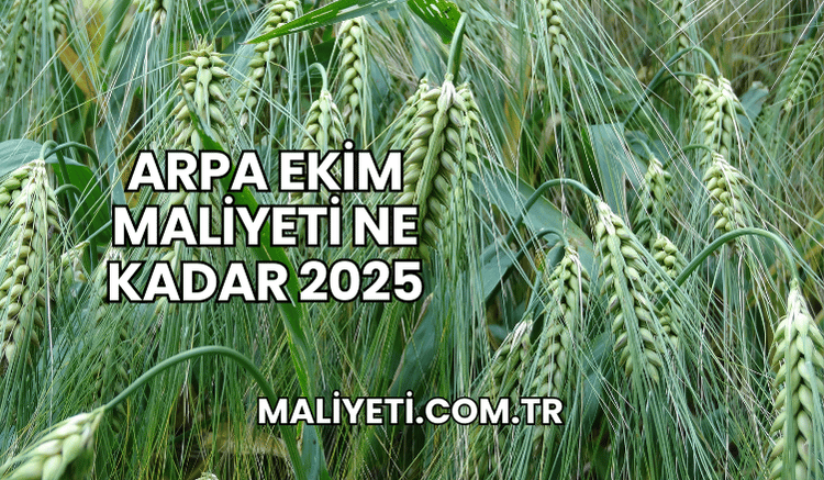 Arpa Ekim Maliyeti Ne Kadar 2025