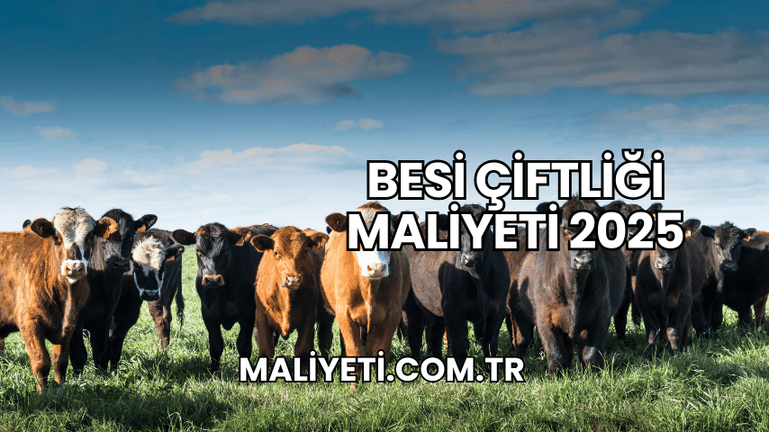 Besi Çiftliği Maliyeti 2025