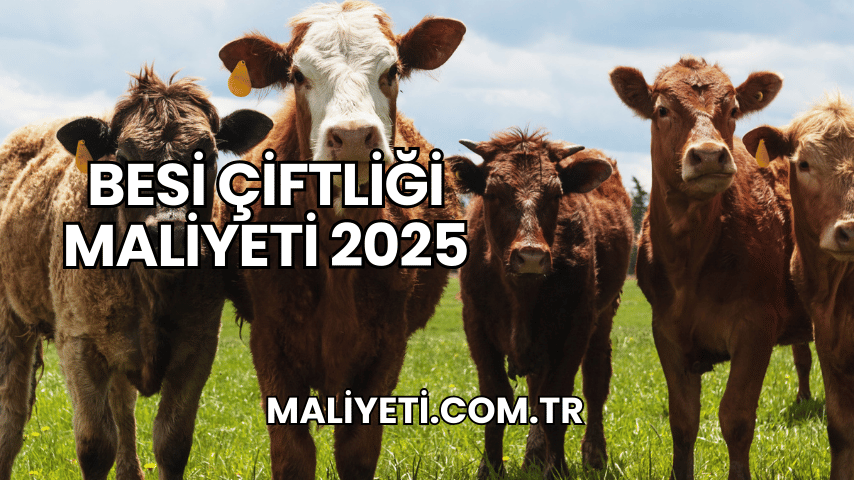 Besi Çiftliği Maliyeti 2025