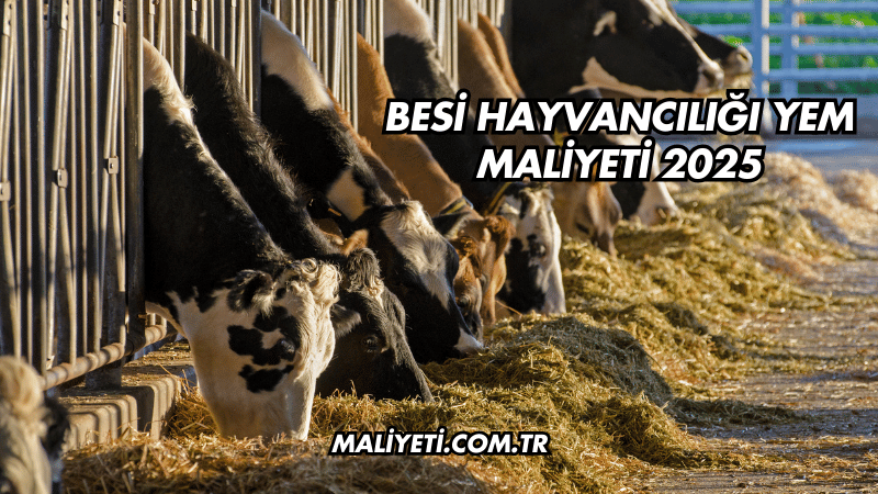 Besi Hayvancılığı Yem Maliyeti 2025