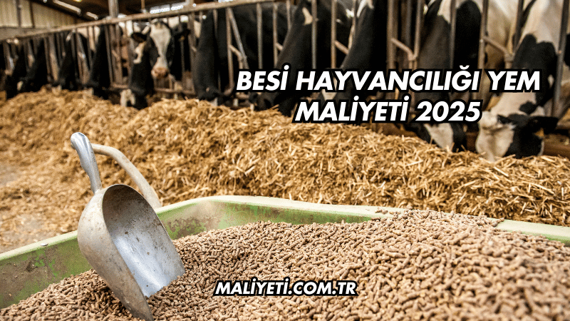 Besi Hayvancılığı Yem Maliyeti 2025