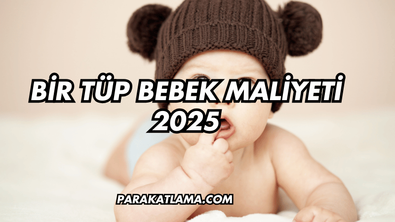 Bir Tüp Bebek Maliyeti 2025