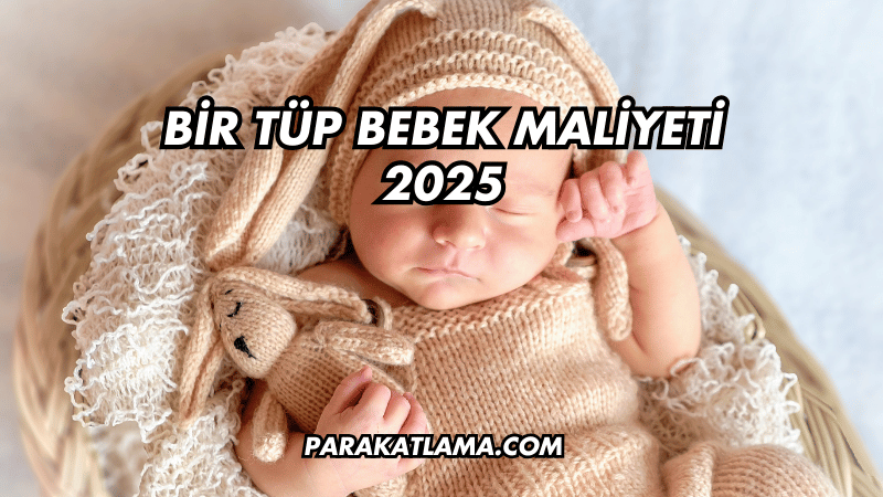 Bir Tüp Bebek Maliyeti 2025