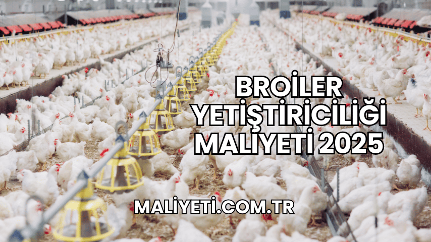 Broiler Yetiştiriciliği Maliyeti 2025