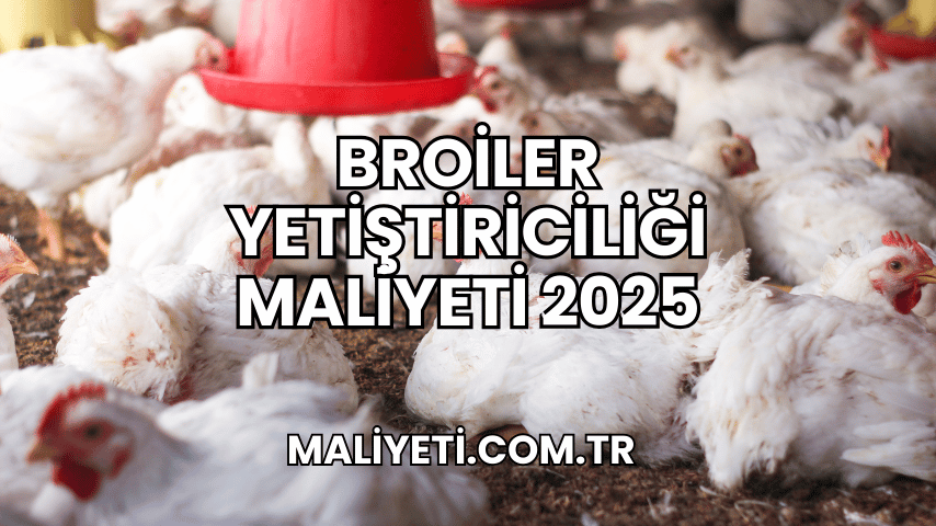 Broiler Yetiştiriciliği Maliyeti 2025