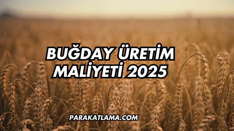 Buğday Üretim Maliyeti 2025