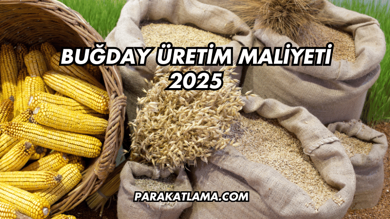 Buğday Üretim Maliyeti 2025