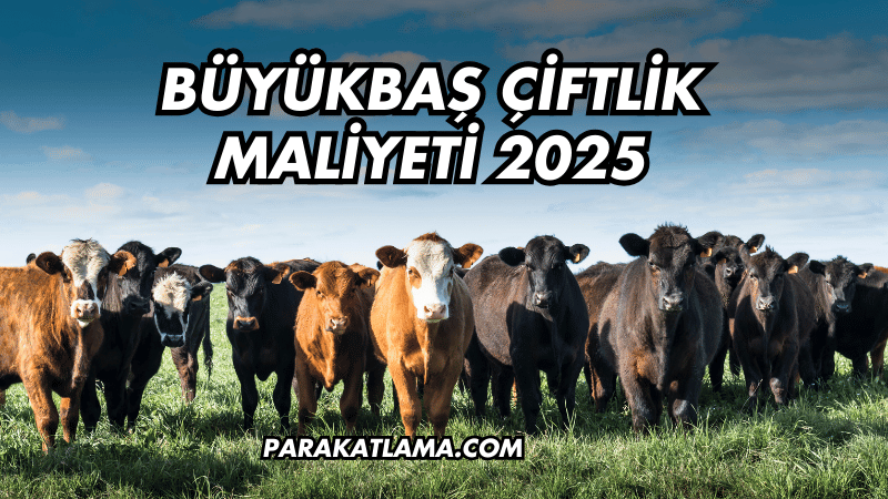 Büyükbaş Çiftlik Maliyeti 2025