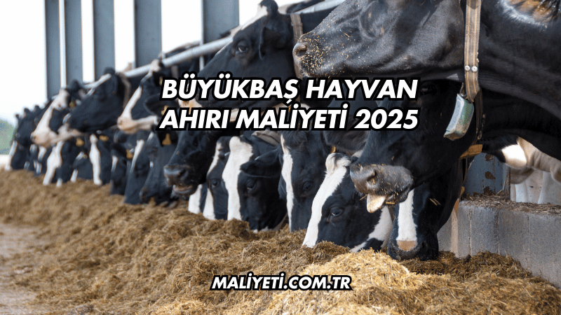 Büyükbaş Hayvan Ahırı Maliyeti 2025