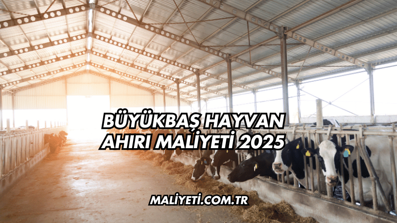 Büyükbaş Hayvan Ahırı Maliyeti 2025