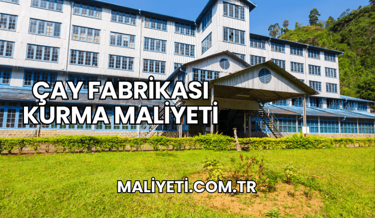 Çay Fabrikası Kurma Maliyeti