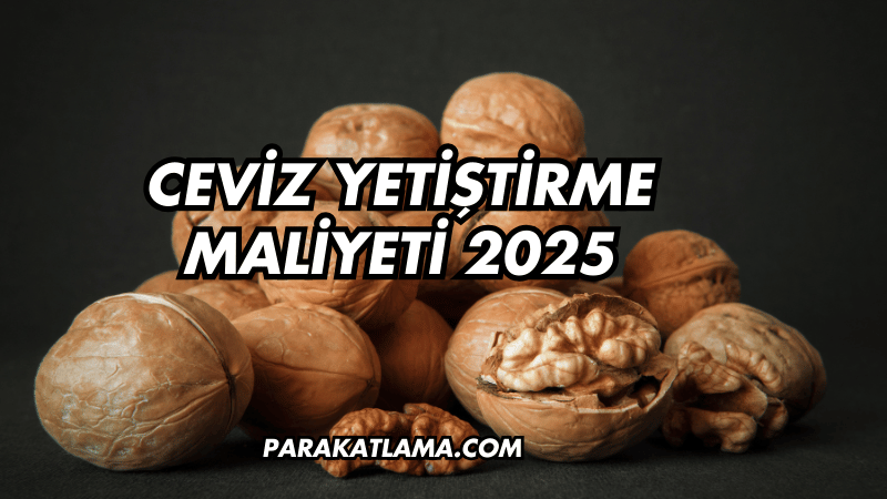 Ceviz Yetiştirme Maliyeti 2025