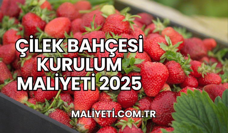 Çilek Bahçesi Kurulum Maliyeti 2025