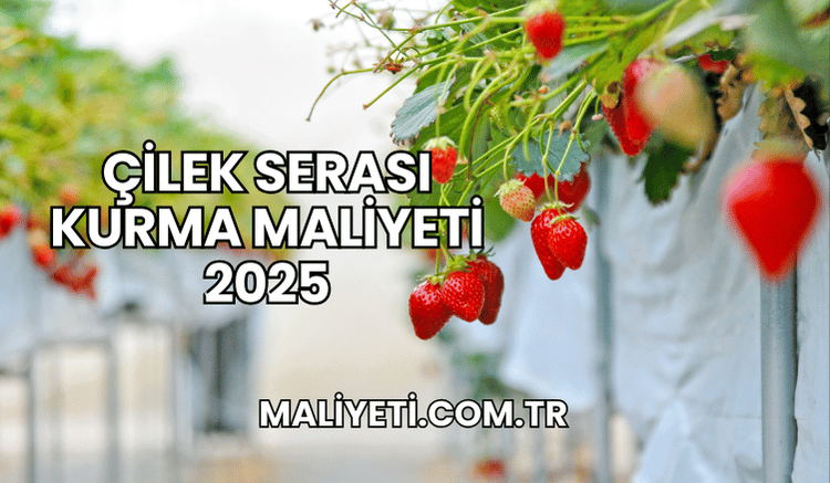 Çilek Serası Kurma Maliyeti 2025