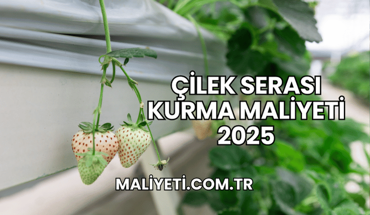 Çilek Serası Kurma Maliyeti 2025