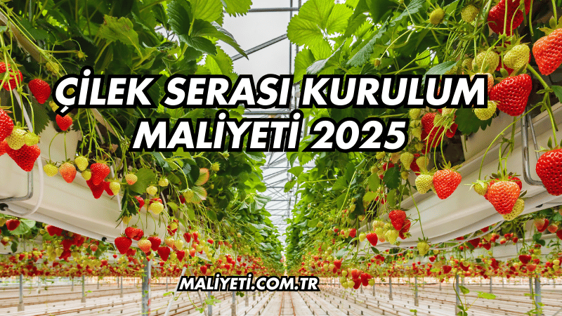 Çilek Serası Kurulum Maliyeti 2025