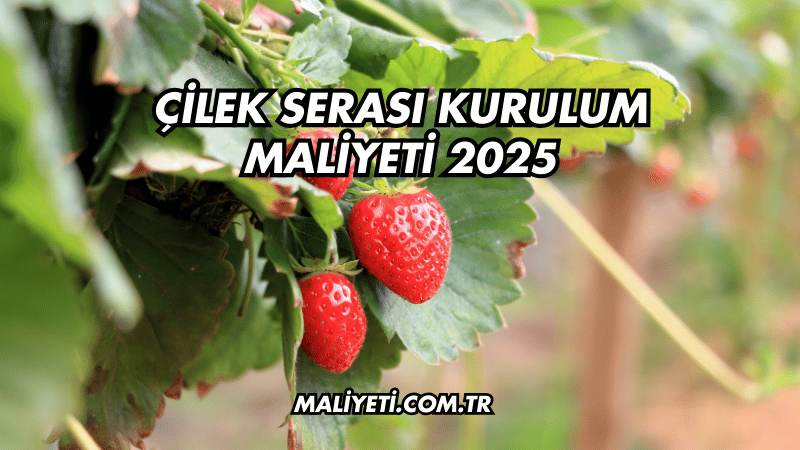 Çilek Serası Kurulum Maliyeti 2025