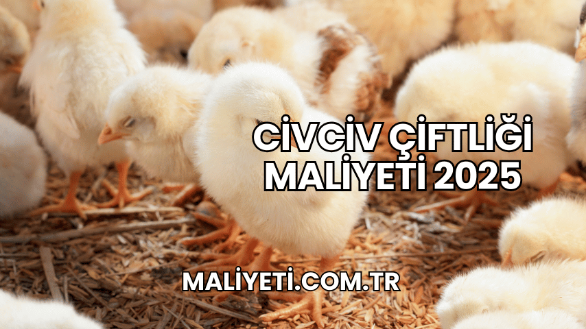 Civciv Çiftliği Maliyeti 2025