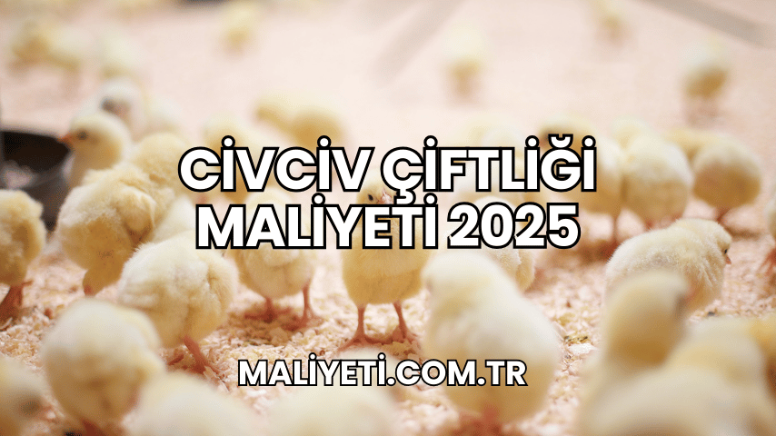 Civciv Çiftliği Maliyeti 2025