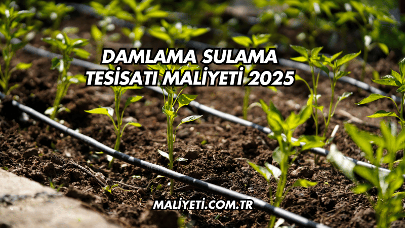 Damlama Sulama Tesisatı Maliyeti 2025