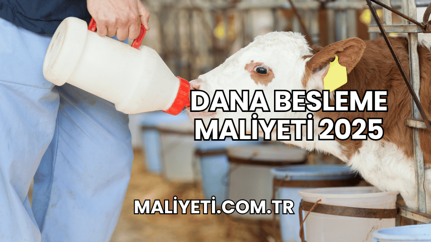 Dana Besleme Maliyeti 2025