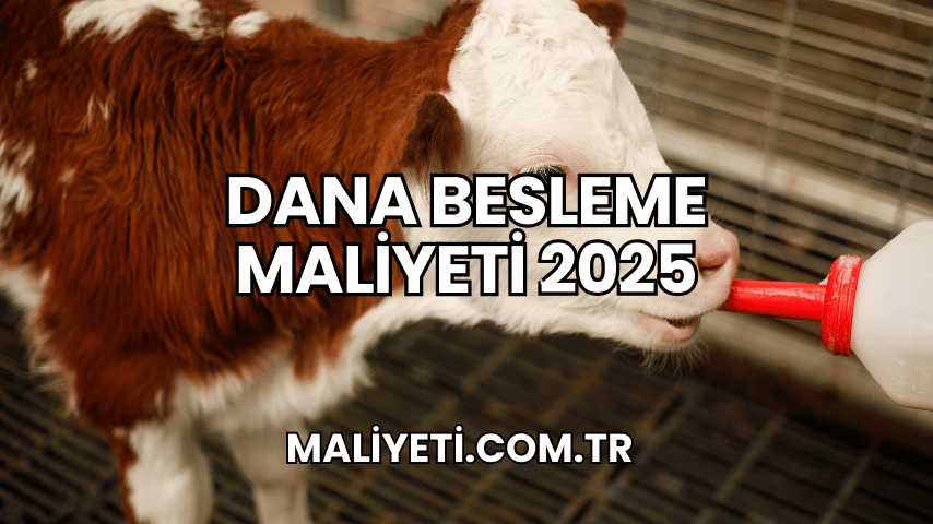 Dana Besleme Maliyeti 2025