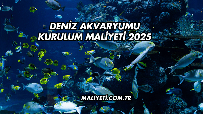 Deniz Akvaryumu Kurulum Maliyeti 2025